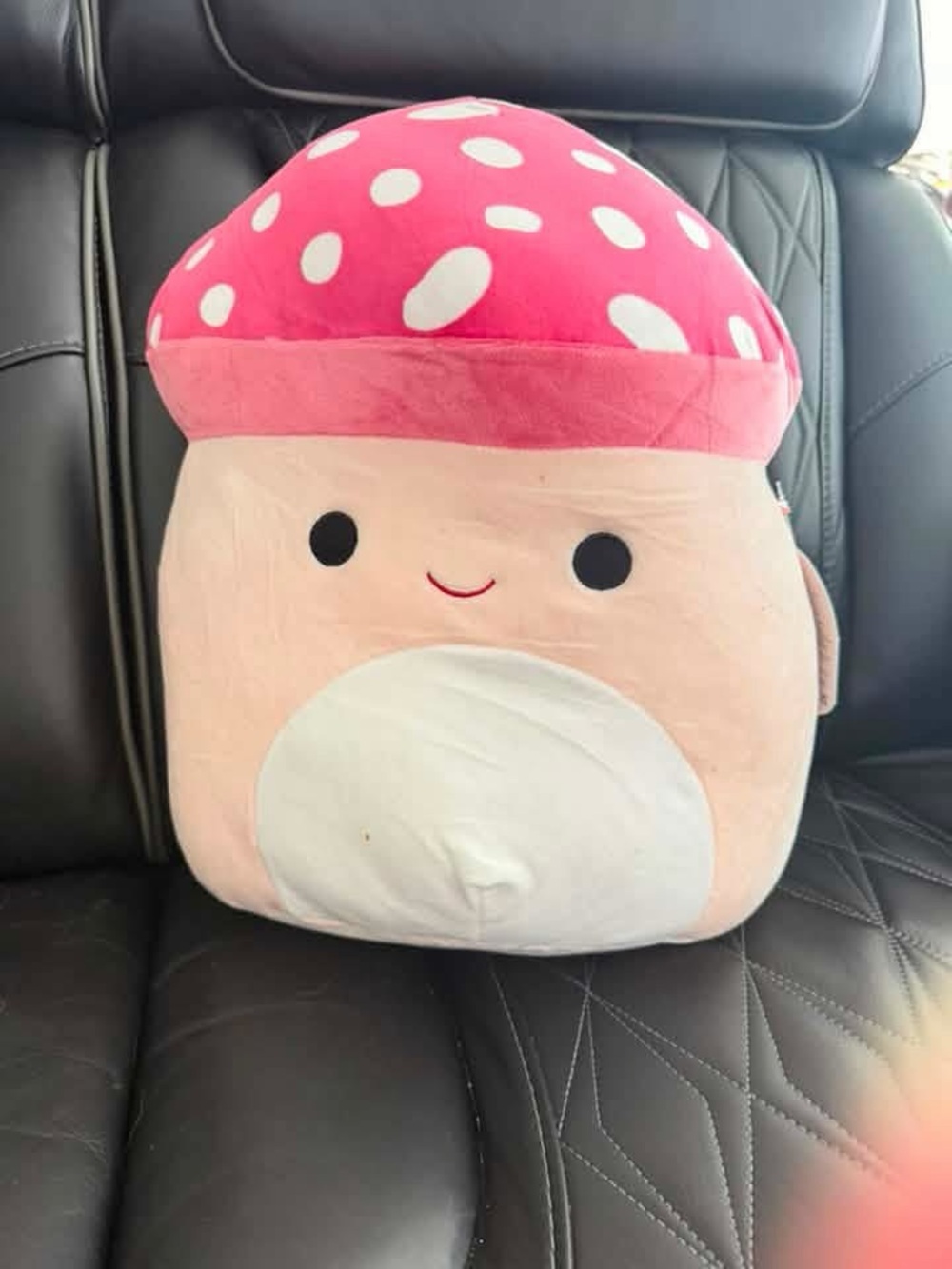 Large Malcolm Squishmallow with Tags